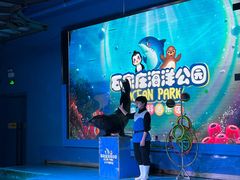 -石家庄海洋公园