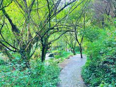 -夏霖九天银瀑风景区