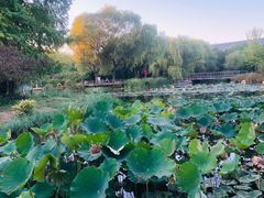 -郑州植物园