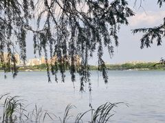 -蠡湖大桥公园