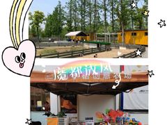 -前小桔亲子创意农场·草莓采摘·露营烧烤