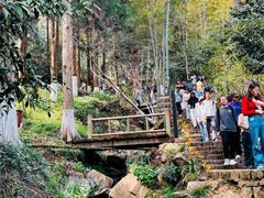 -莫干山风景区