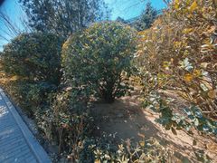 -北京理工大学(中关村校区)