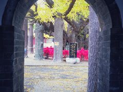 -浮来山风景区