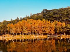 -莲花山公园