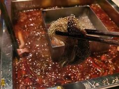 -红鼎坊·老成都火锅(新南门店)