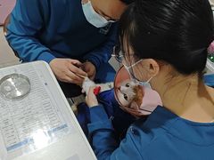 -子乐宠物医院