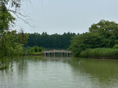 -苏州太湖国家湿地公园