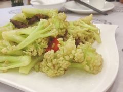 -岭南海晏楼(东晓南店)