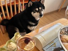 -柴の食堂·日式家庭料理·熊之肆(大学路店)