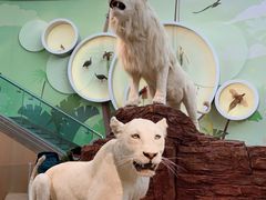 -陕西自然博物馆