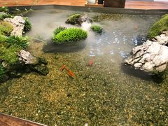 -森味薪火烧•烧鸟居酒屋•日本料理(望京店)
