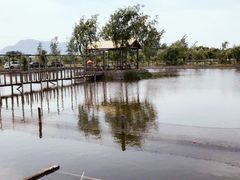 -同銮特种养殖场·龙虾垂钓