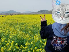 -西海岸生态观光园