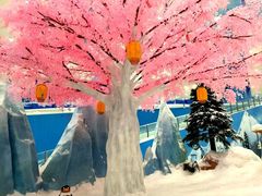 -湘江欢乐城欢乐雪域