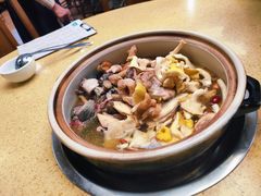 野菌锅-东巴谷野生菌火锅餐厅