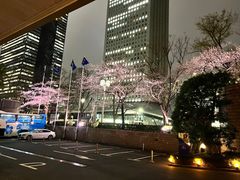 -东京希尔顿酒店