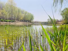 -大兴滨河森林公园