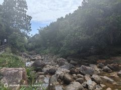 -广州白江湖森林公园