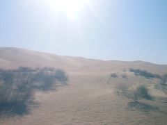 -亿利库布其七星湖沙漠生态旅游区