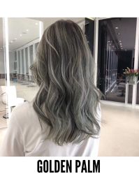 点击看大图 -金棕榈