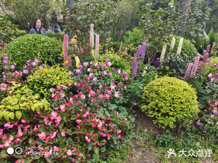 静安雕塑公园图片