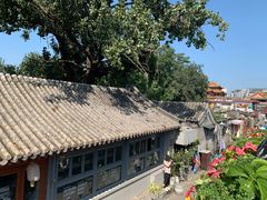 -Sirena海妖日咖夜酒