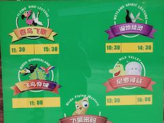 -广州长隆飞鸟乐园