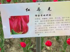 -院士公园