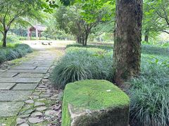 -黄公望隐居地