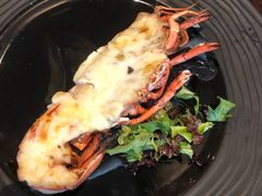 -Social 秀西餐厅-长沙瑞吉酒店(运达店)