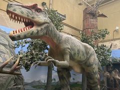 -国家自然博物馆