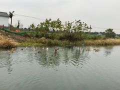 -乡乐园蟹庄·阳澄湖农家乐