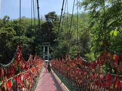 -西双版纳原始森林公园