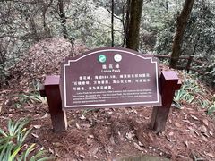 -缙云山景区