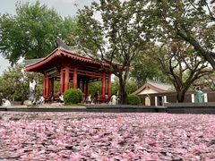 -大慈恩寺(大雁塔)