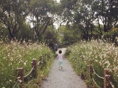 江湾湿地公园-新江湾城公园