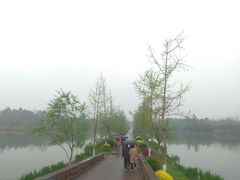 景点-白鹭湾湿地公园