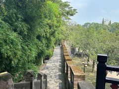 -桂湖森林公园