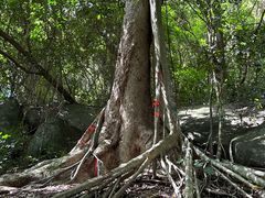 -七仙岭温泉国家森林公园