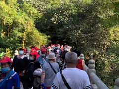 -西双版纳原始森林公园