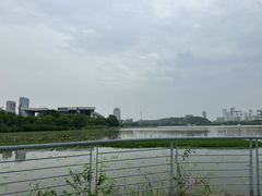 -月湖风景区