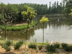 -东郊湿地公园