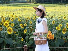 -苏州湾体育公园