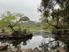 -无锡梅园公园