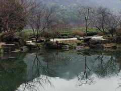 -中国茶叶博物馆(双峰馆区)