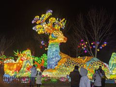 -淄博花灯齐彩城