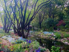 -上海共青森林公园