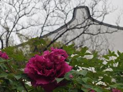 -龙华寺