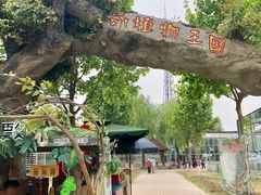 -白洋淀景区